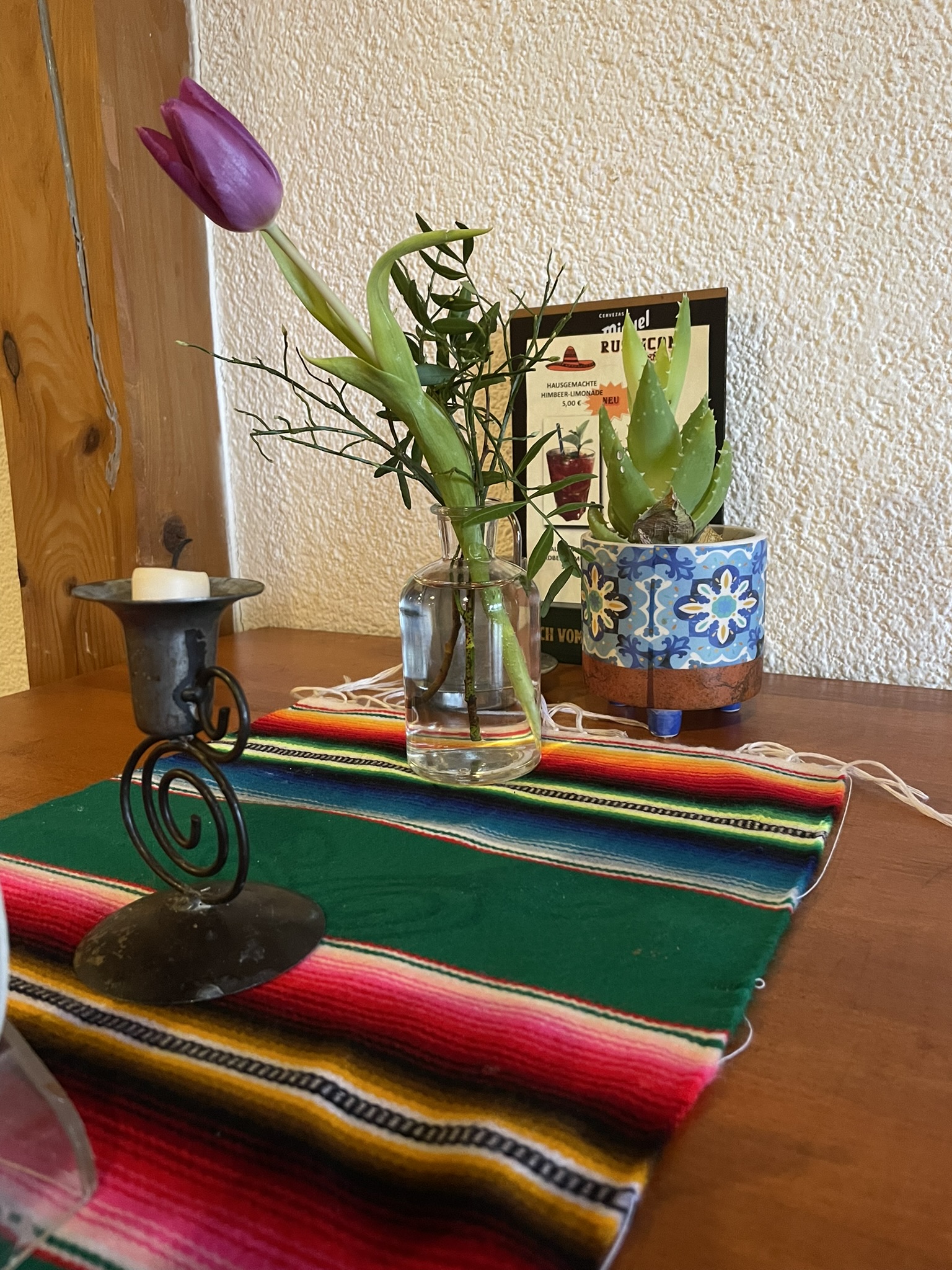 tulpe_rusticana